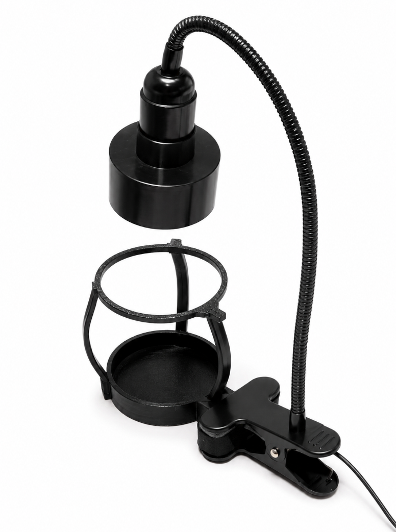 Clamp the light to the base