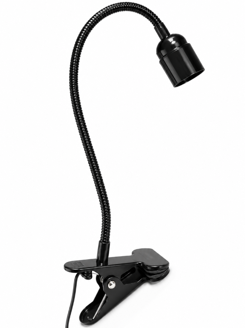 Clamp the light to the base